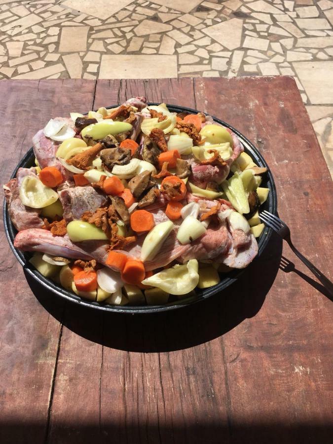 B&B Dal Pescatore Fažana エクステリア 写真